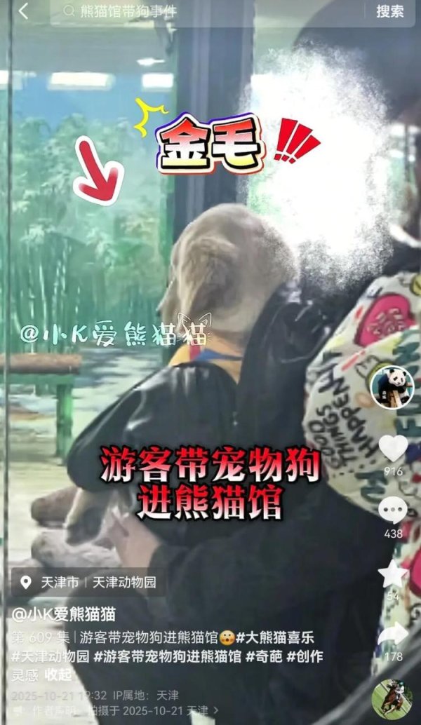 武汉世牛 天津动物园回应游客带宠物狗看熊猫：明令禁止，已及时制止